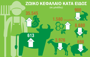 Infographic: Γεωργική Στατιστική Έρευνα 2016