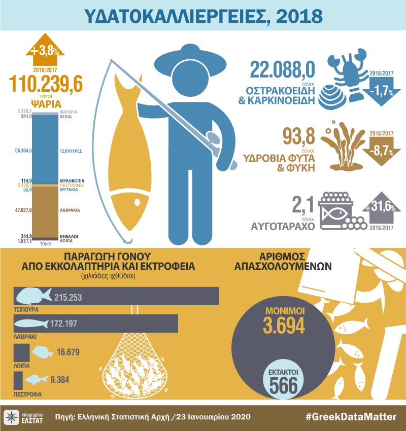 infographic-aquaculture-2018 gr