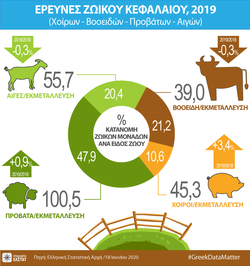 infographic-livestock-surveys-2019 gr