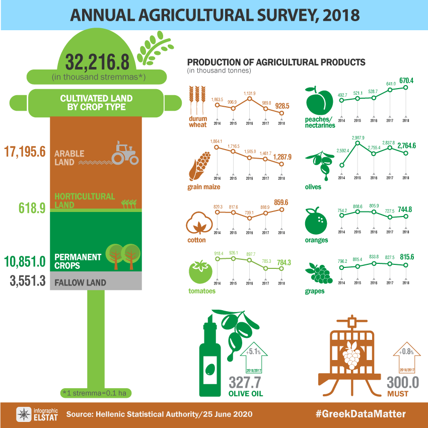 infographic-agricultural-survey-2018 en