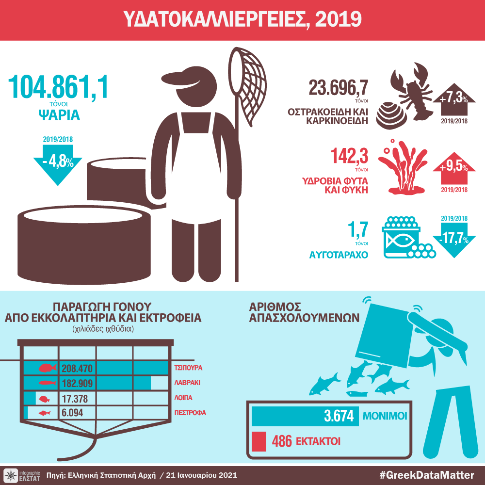 infographic-aquaculture-2019 gr