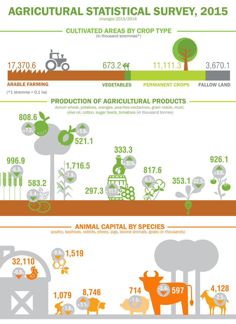 infographic